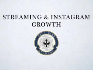 Ari Herstand and Lucidious – Streaming & Instagram Growth