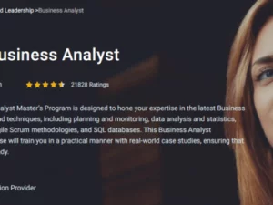 SimpliLearn – Business Analyst