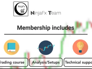NinjaFX PDF Course