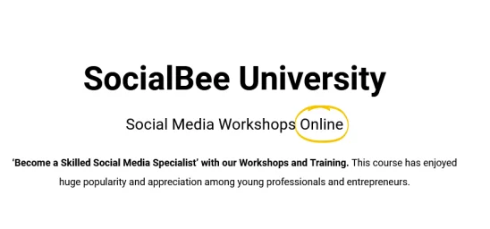SocialBee – SocialBee University Download SocialBee – SocialBee University
