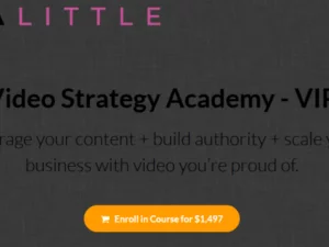 Trena Little – Video Strategy Academy (VIP)