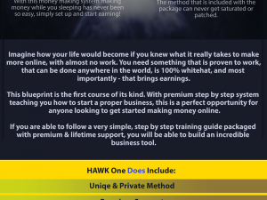 HAWK One – SELLING MADNESS – 2019 Unique Method to $3K Weekly