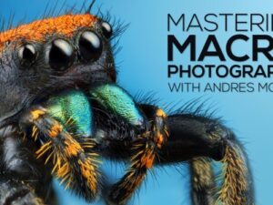 Andres Moline – Fstoppers – Mastering Macro Photography