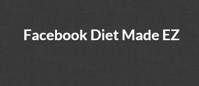 Ross Minchev and Brian Pfeiffer - Facebook Diet Made EZ Video Course Download