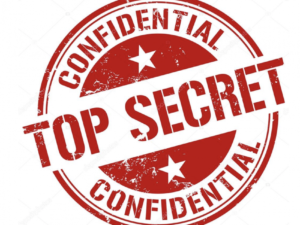 Holly Stark - RSS Mastery - Top Secret Revealed Download
