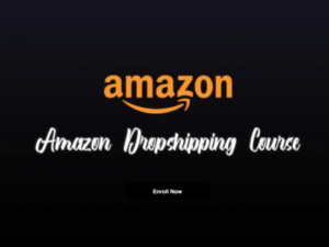 Andrew Giorgi – Amazon Dropshipping Course Download