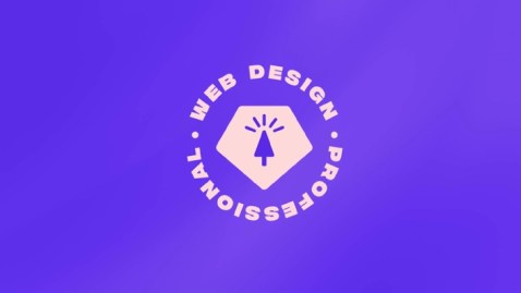 Ran Segall – Web Design-Becoming a Professional Download