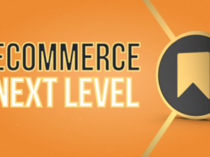 eCommerce Next Level – Insaka eCommerce Academy Download