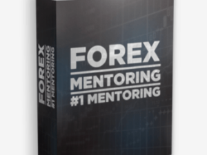 French Trader – Forex Mentoring Download
