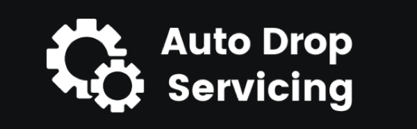 Ricky Mataka – Auto Drop Servicing Download