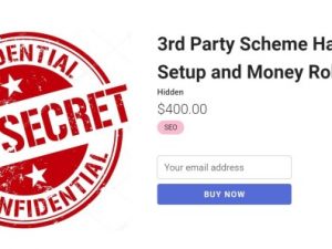 Holly Starks – 3rd Party Scheme Hack + GSA Setup and Money Robot Setup Download