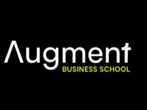 augment e28093 the augment mba download.png