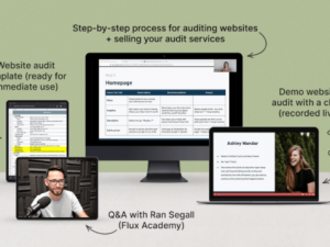 danbee shin e28093 website audit masterclass download.png