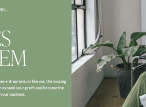 shannon matson e28093 high ticket sales system download.png