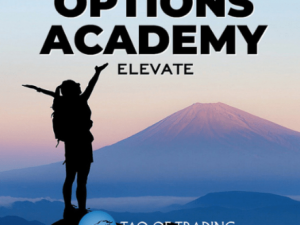 simon ree e28093 options academy elevate download 1.png