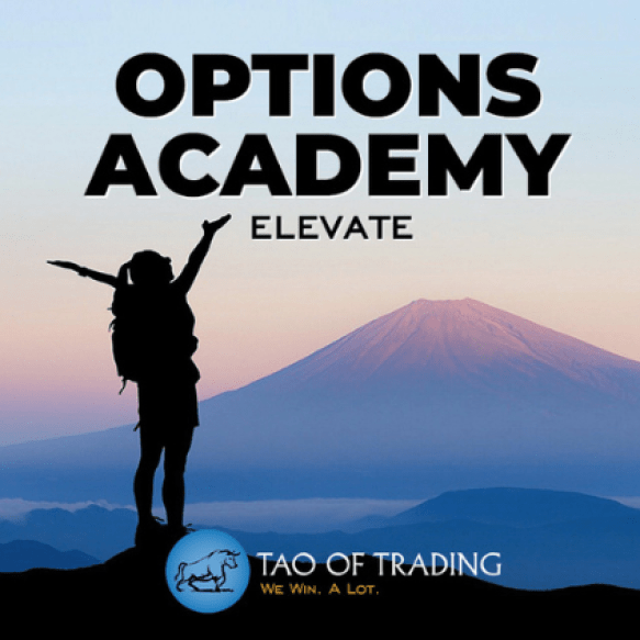 simon ree e28093 options academy elevate download.png