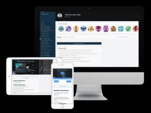 stijn noorman the x growth system download.jpg