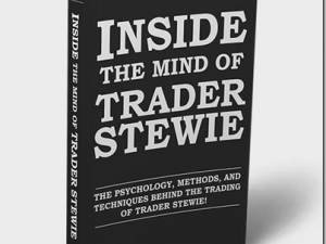 the art of trading e28093 inside the mind of trader stewie download.png