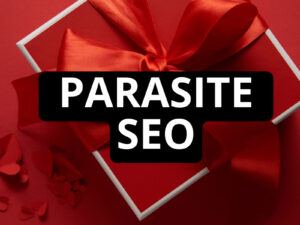 jesper nissen – parasite seo course download.jpeg