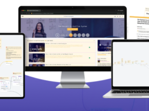 natasha willis – the content to cashflow system download.png