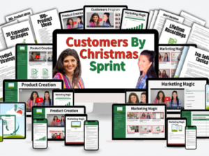 rachel rofe – customers by christmas download.png