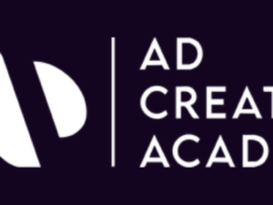 seth godin – ad creative academy download.png