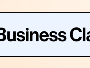 sophia amoruso – business class download1.png